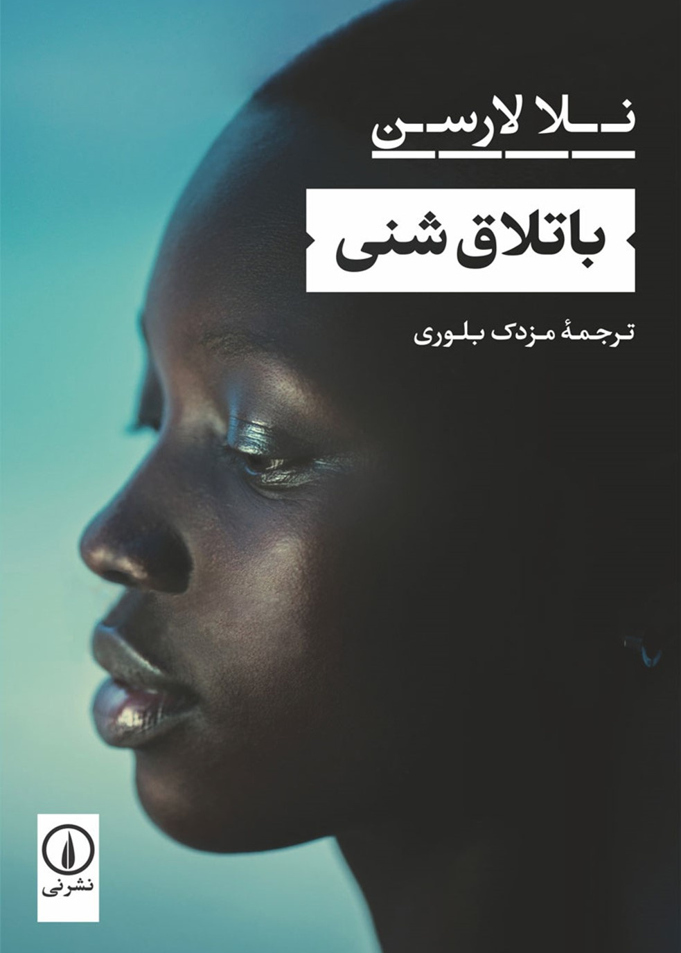 باتلاق شنی