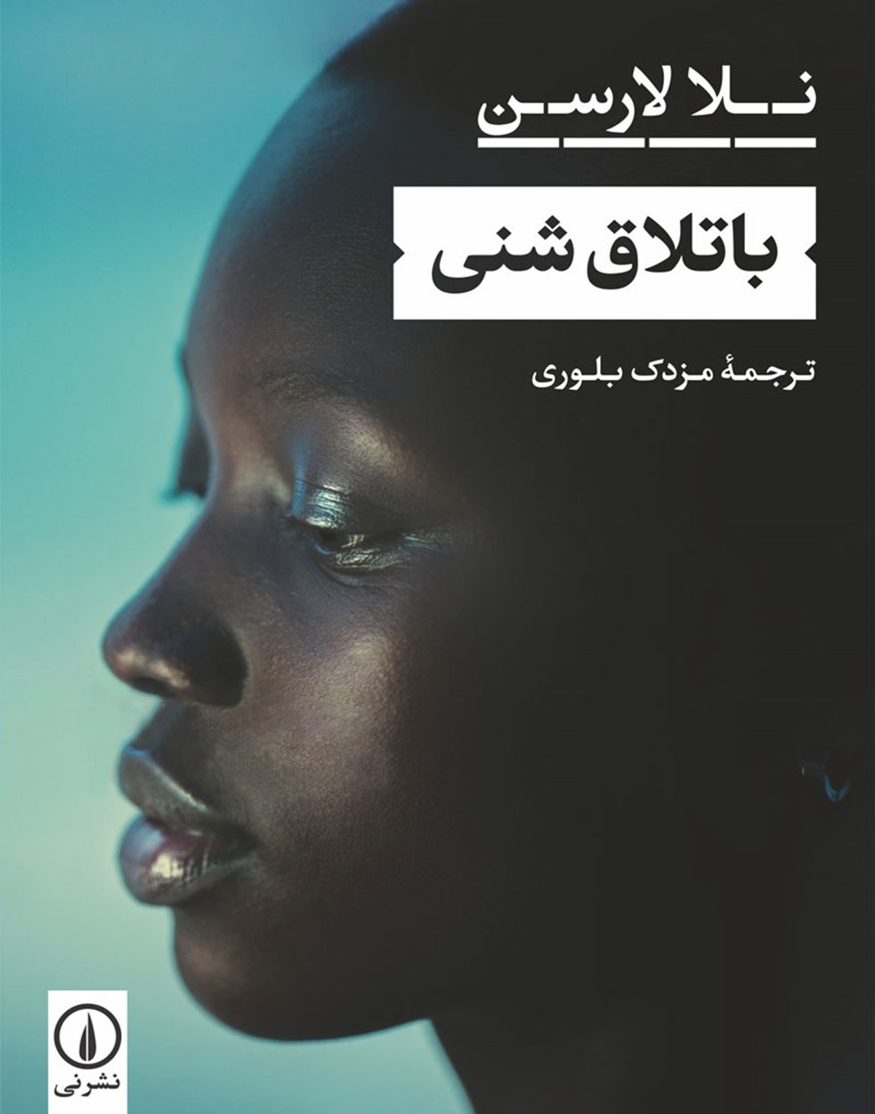 باتلاق شنی
