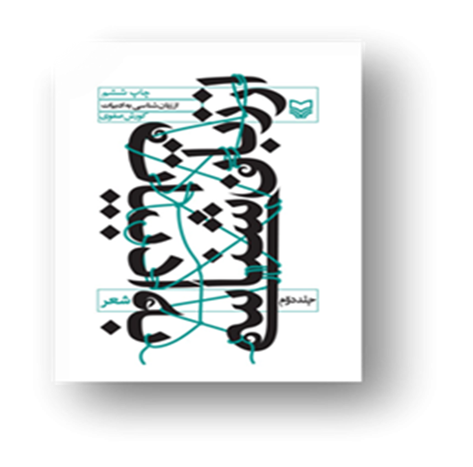 از زبان‌شناسی به ادبیات: جلد دوم شعر