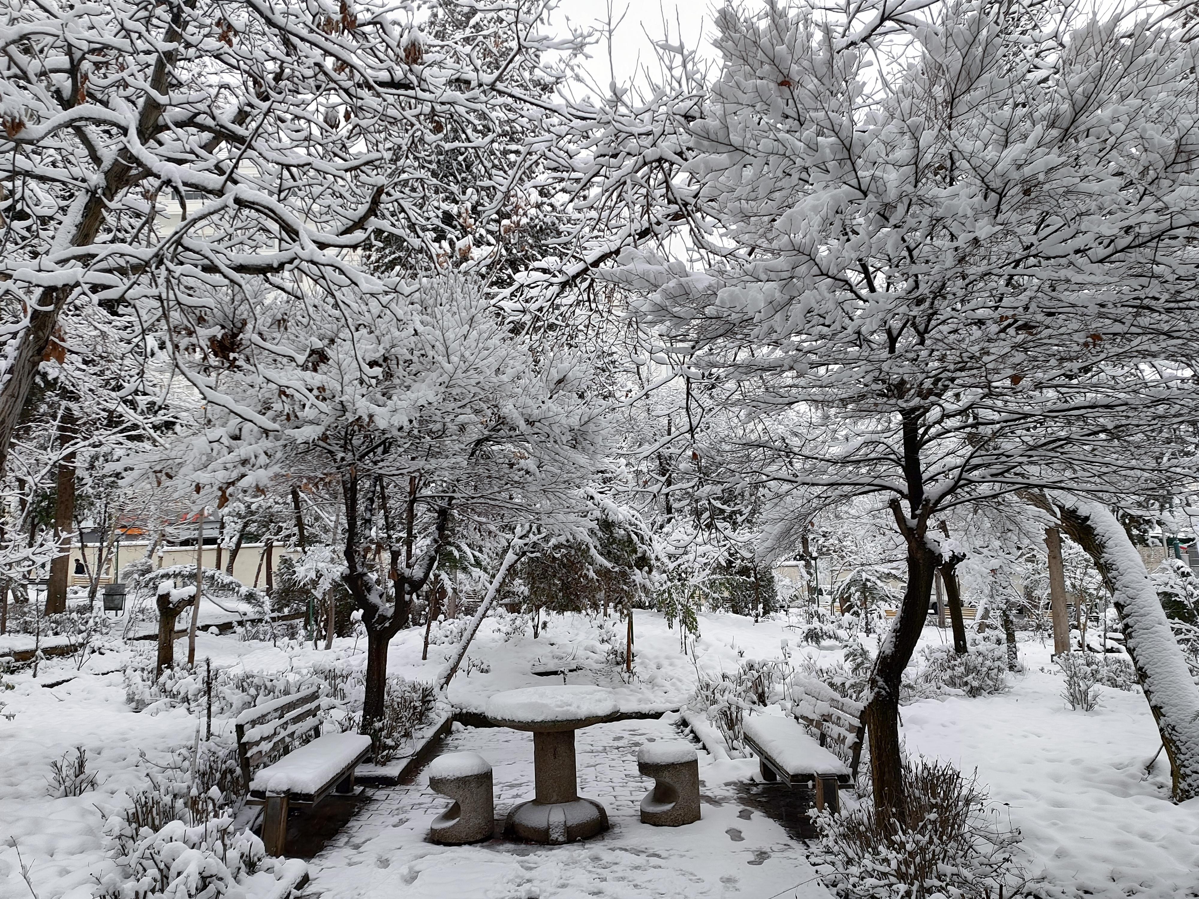 گزارش تصویری روز برفی