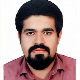 سیدپیمان نقیبی رکنی