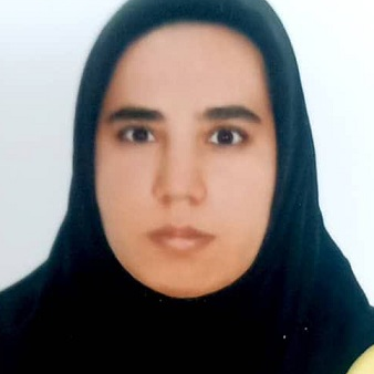 مینا انصاری