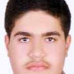 سیدپیمان نقیبی رکنی